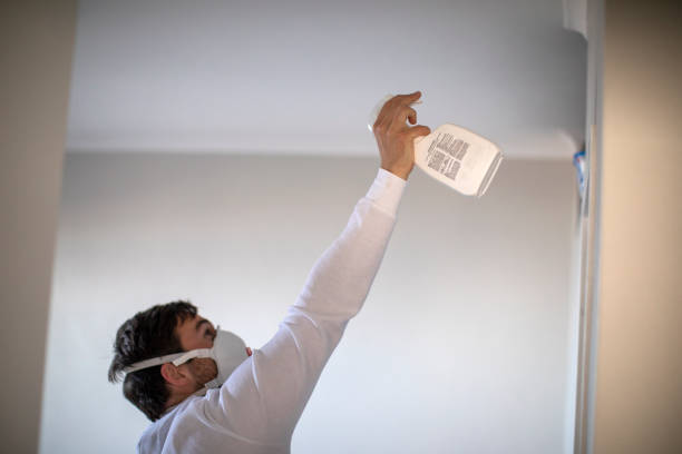 Best Commercial Mold Removal  in Bay City, TX