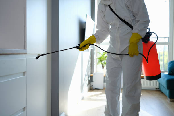 Best Professional Mold Removal  in Bay City, TX