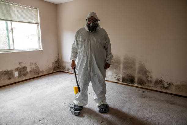 Best Mold Cleaning Services  in Bay City, TX